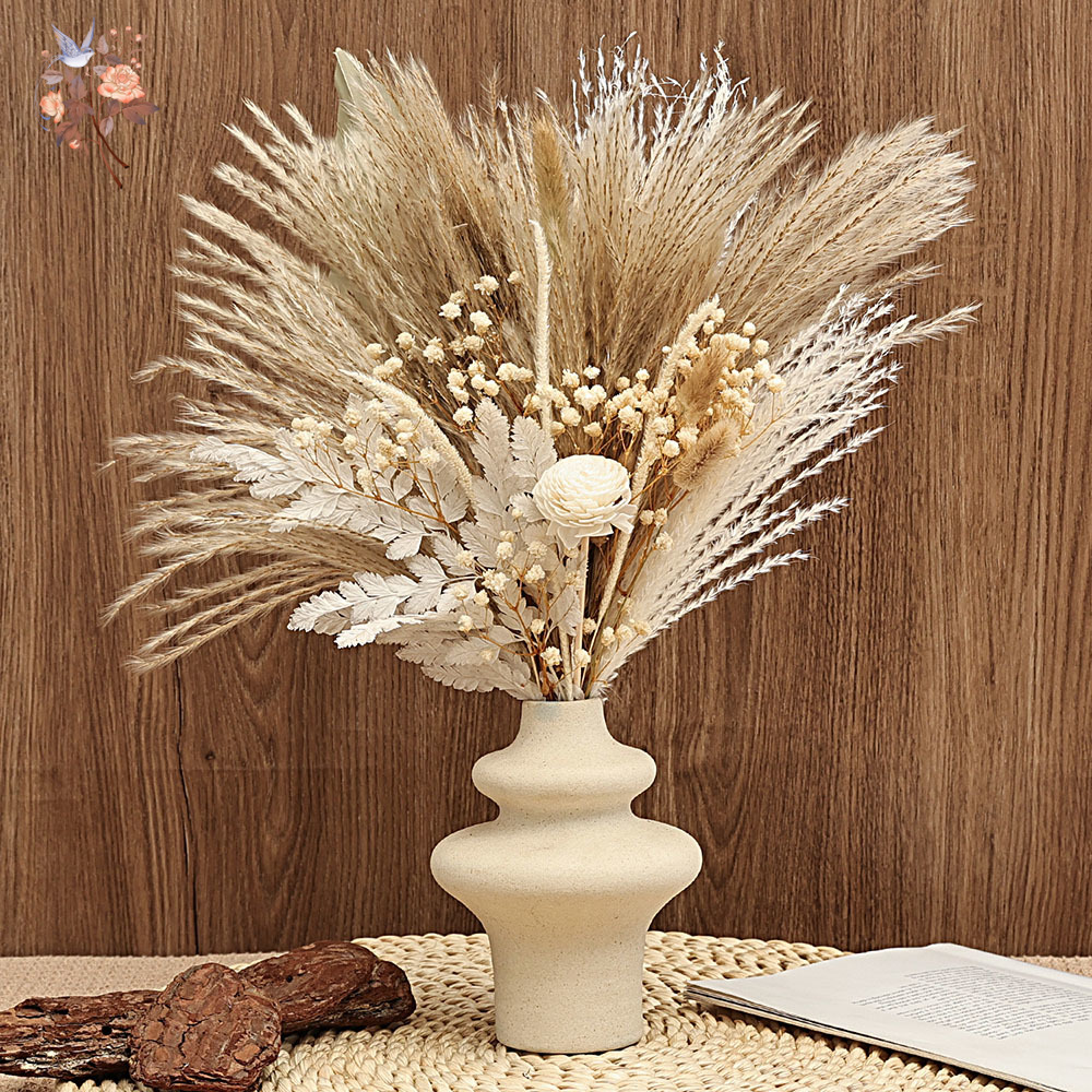 40 Pieces Dried Pampas Reeds P - Dried Pampas Bundle review and price