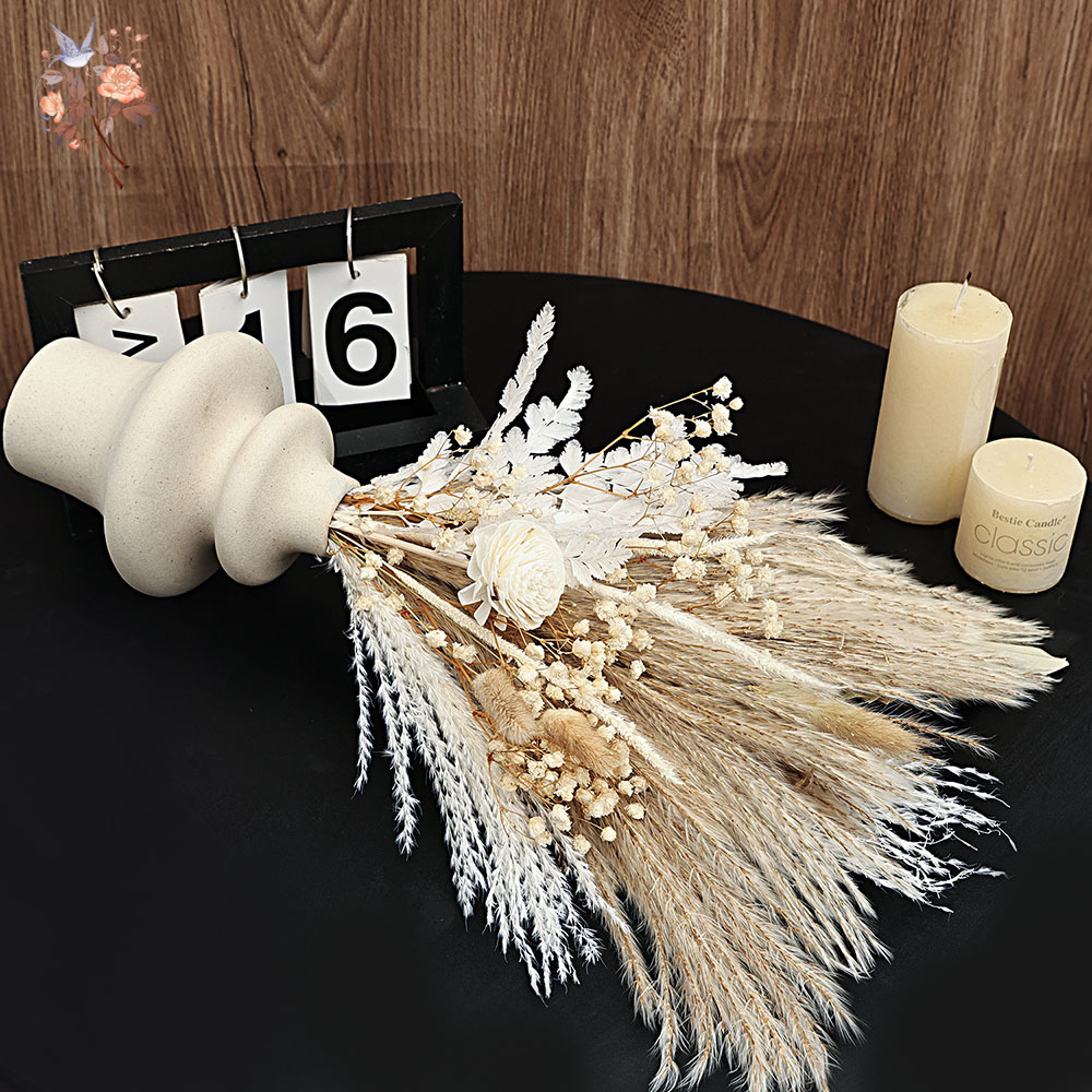 40 Pieces Dried Pampas Reeds P - Dried Pampas Bundle review and price