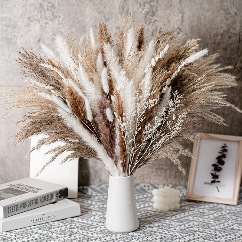 50-105pcs Boho Rustic Mixed Dr - Dried Pampas Bundle review and price