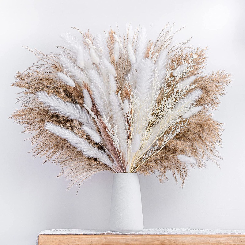 50-105pcs Boho Rustic Mixed Dr - Dried Pampas Bundle review and price