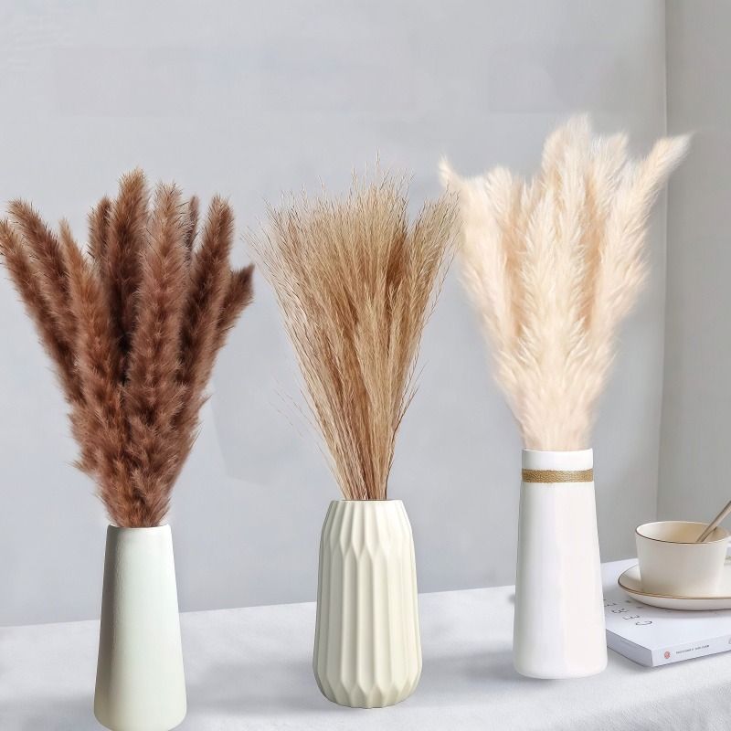 50-105pcs Boho Rustic Mixed Dr - Dried Pampas Bundle review and price
