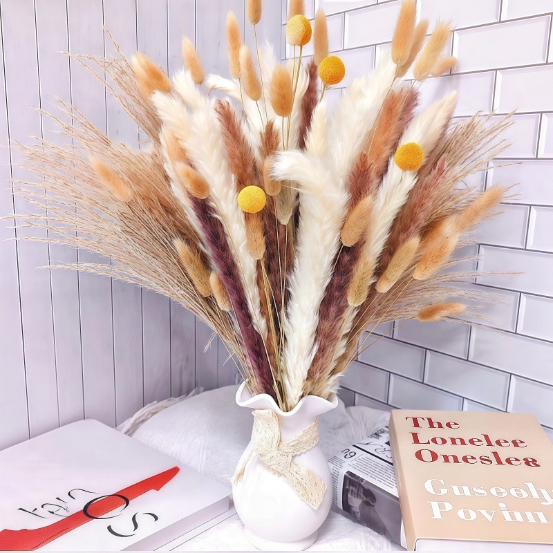 50-105pcs Boho Rustic Mixed Dr - Dried Pampas Bundle review and price