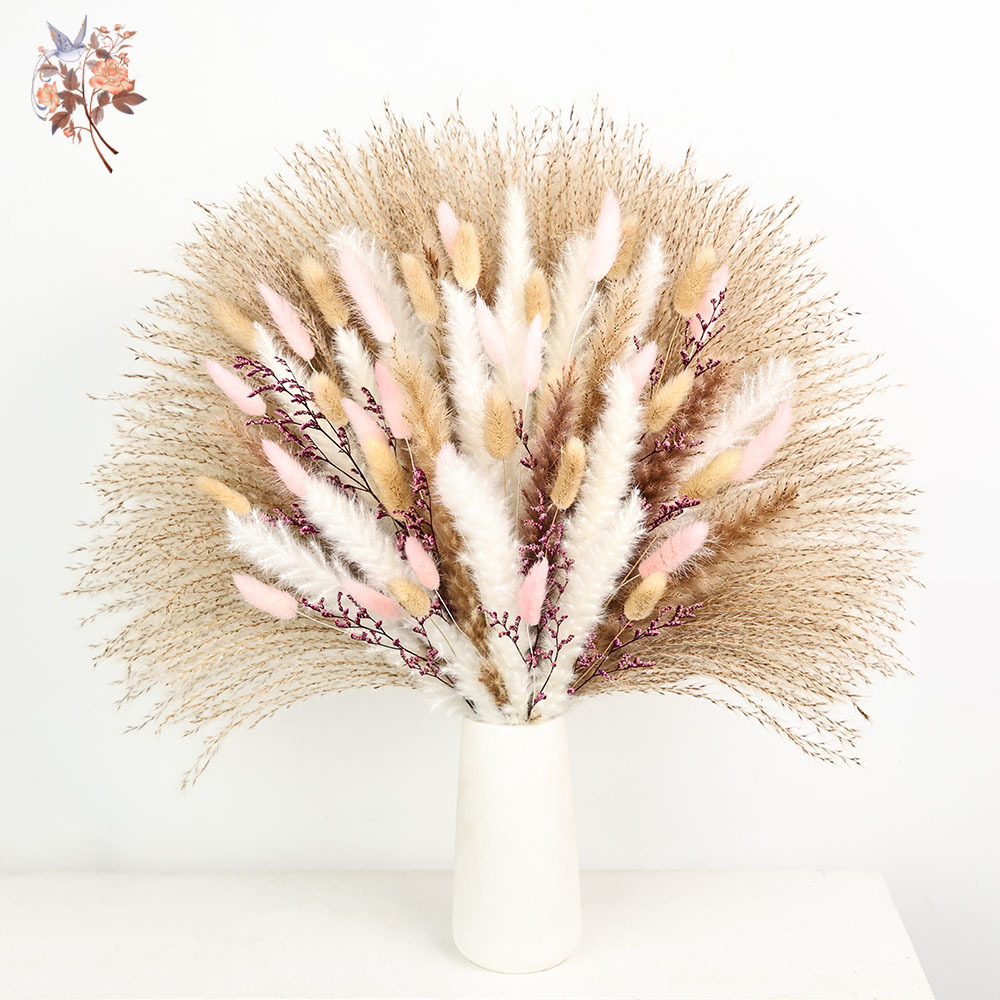 Fluffy Pampas Rabbit Tails Gra - Dried Pampas Bundle review and price
