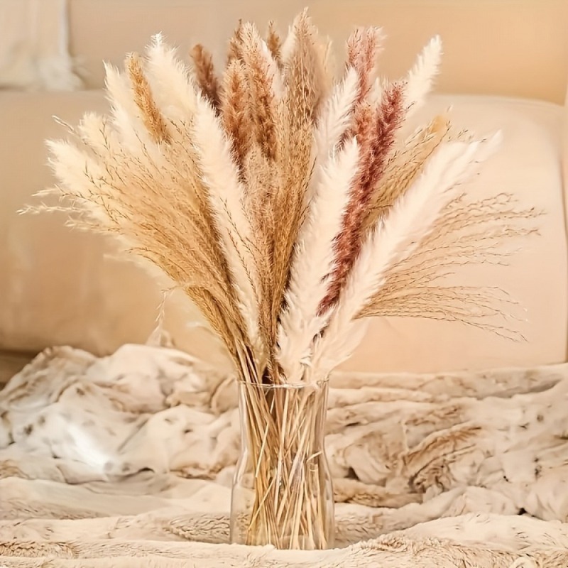 110Pcs Boho Neutral‑tone Mixed - Dried Pampas Bundle review and price
