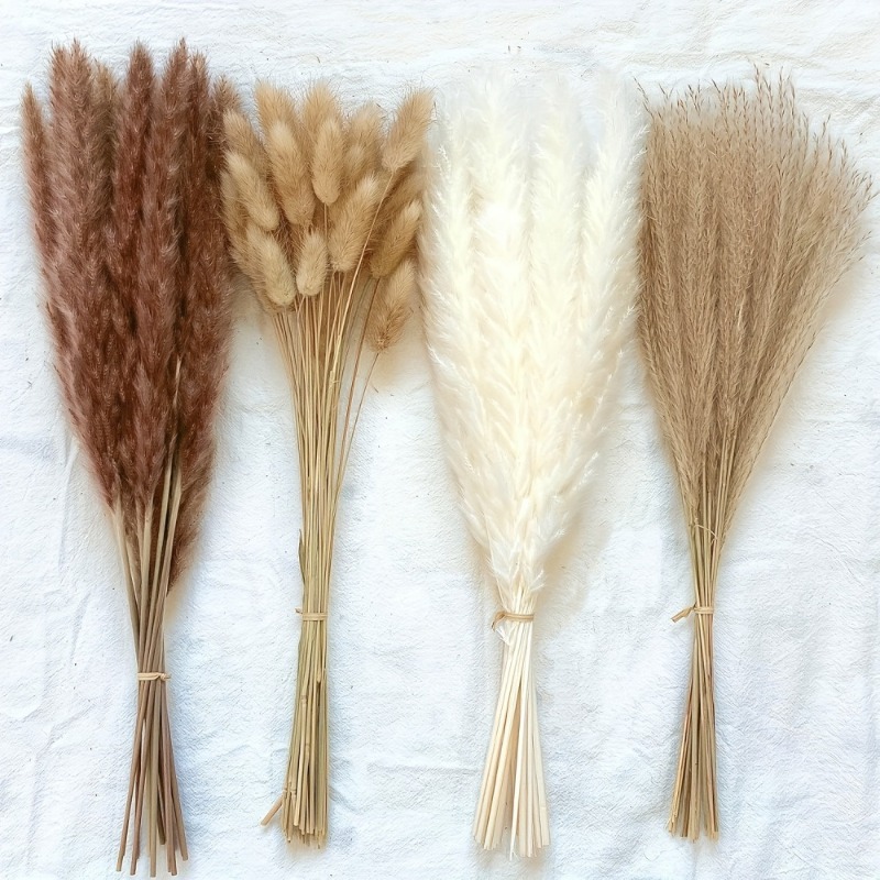 110Pcs Boho Neutral‑tone Mixed - Dried Pampas Bundle review and price