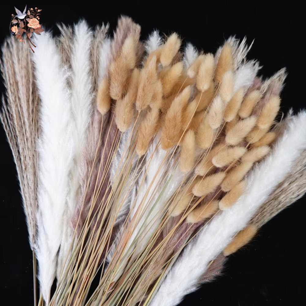 Mixed Natural Dried Flower Bou - Dried Pampas Bundle review and price