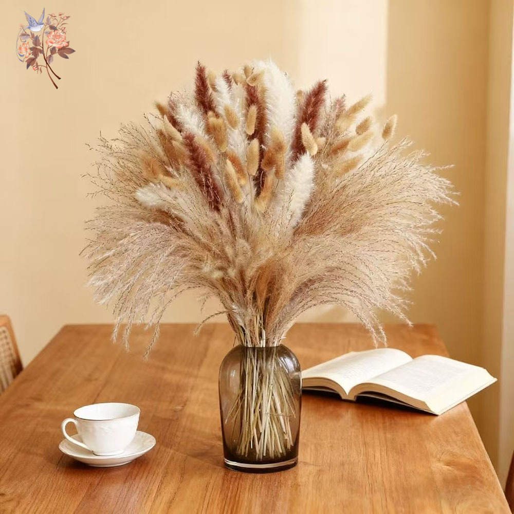 Mixed Natural Dried Flower Bou - Dried Pampas Bundle review and price
