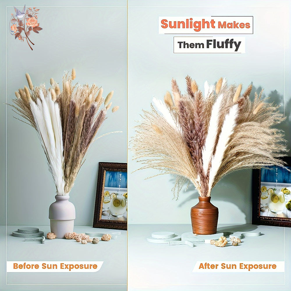 Mixed Natural Dried Flower Bou - Dried Pampas Bundle review and price
