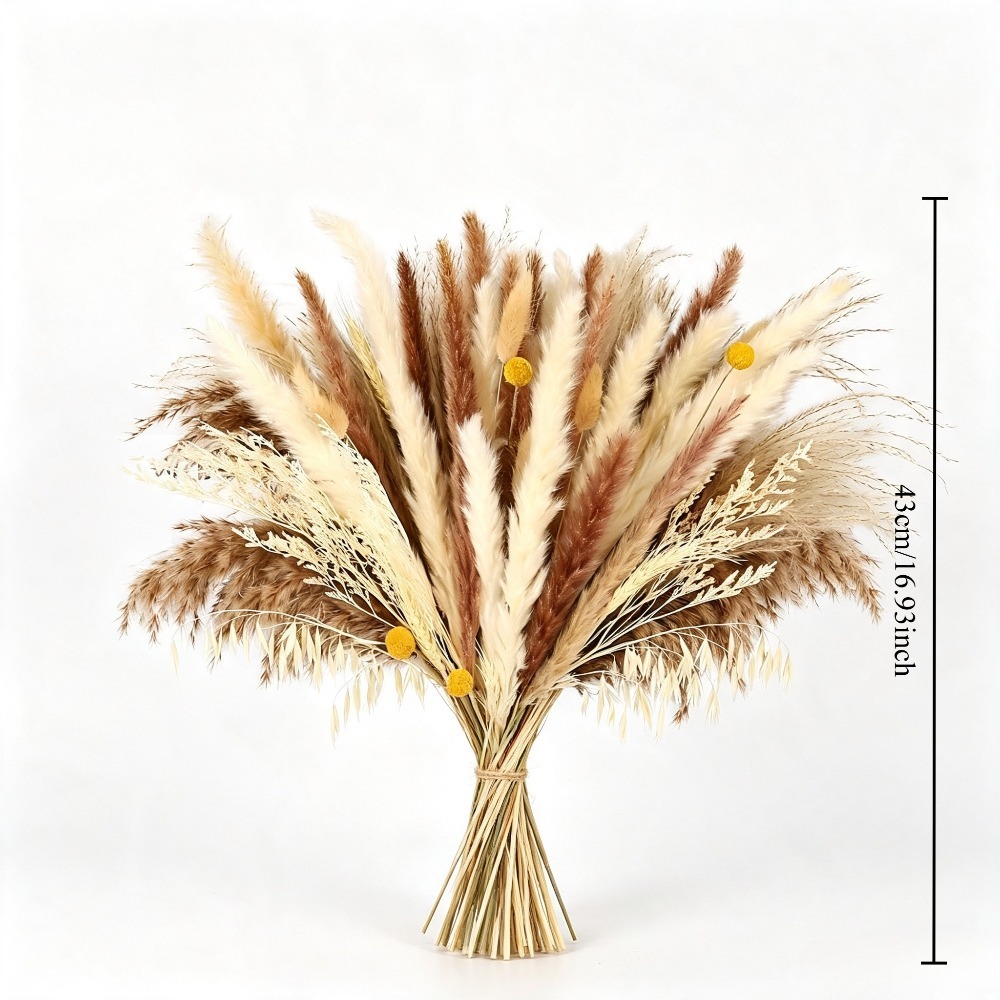 Natural Mixed Dried Flower Bou - Dried Pampas Bundle review and price