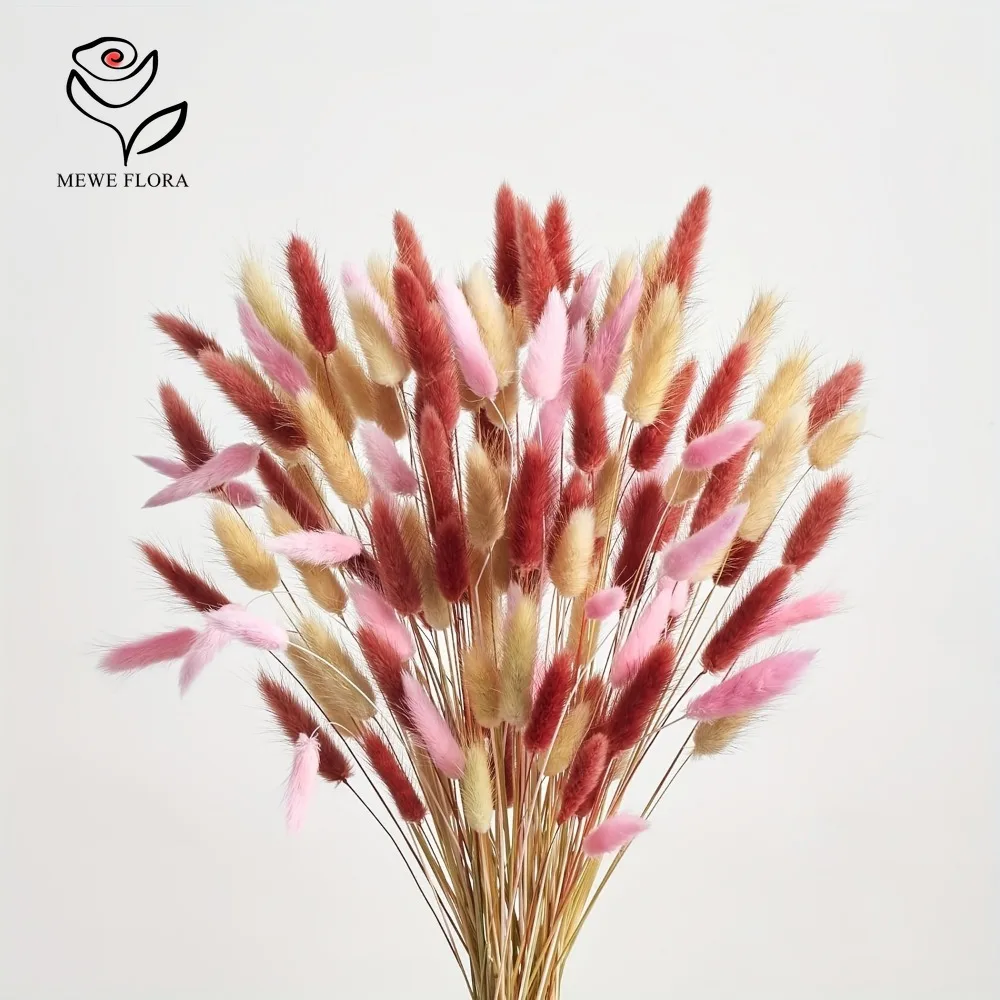 90pcs Mixed 3 Colors Bunny Tai - Dried Pampas Bundle review and price
