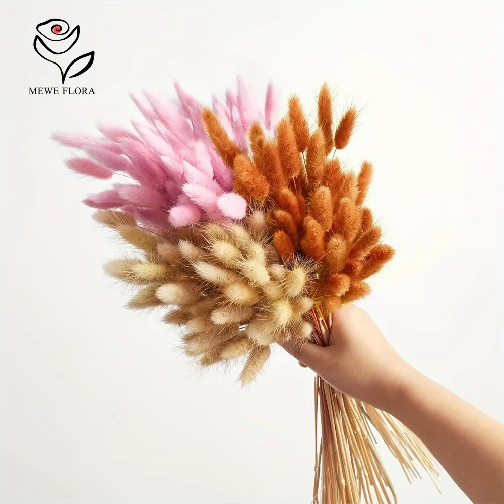 90pcs Mixed 3 Colors Bunny Tai - Dried Pampas Bundle review and price