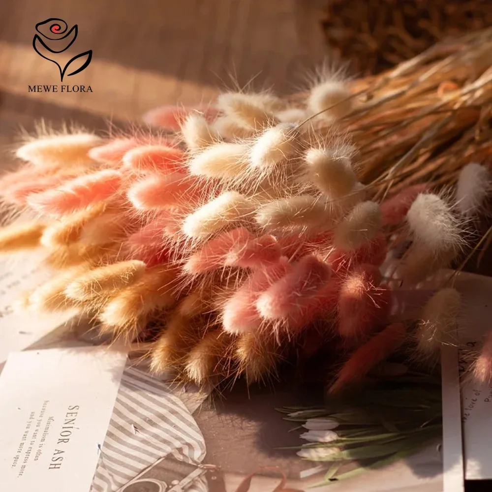 90pcs Mixed 3 Colors Bunny Tai - Dried Pampas Bundle review and price