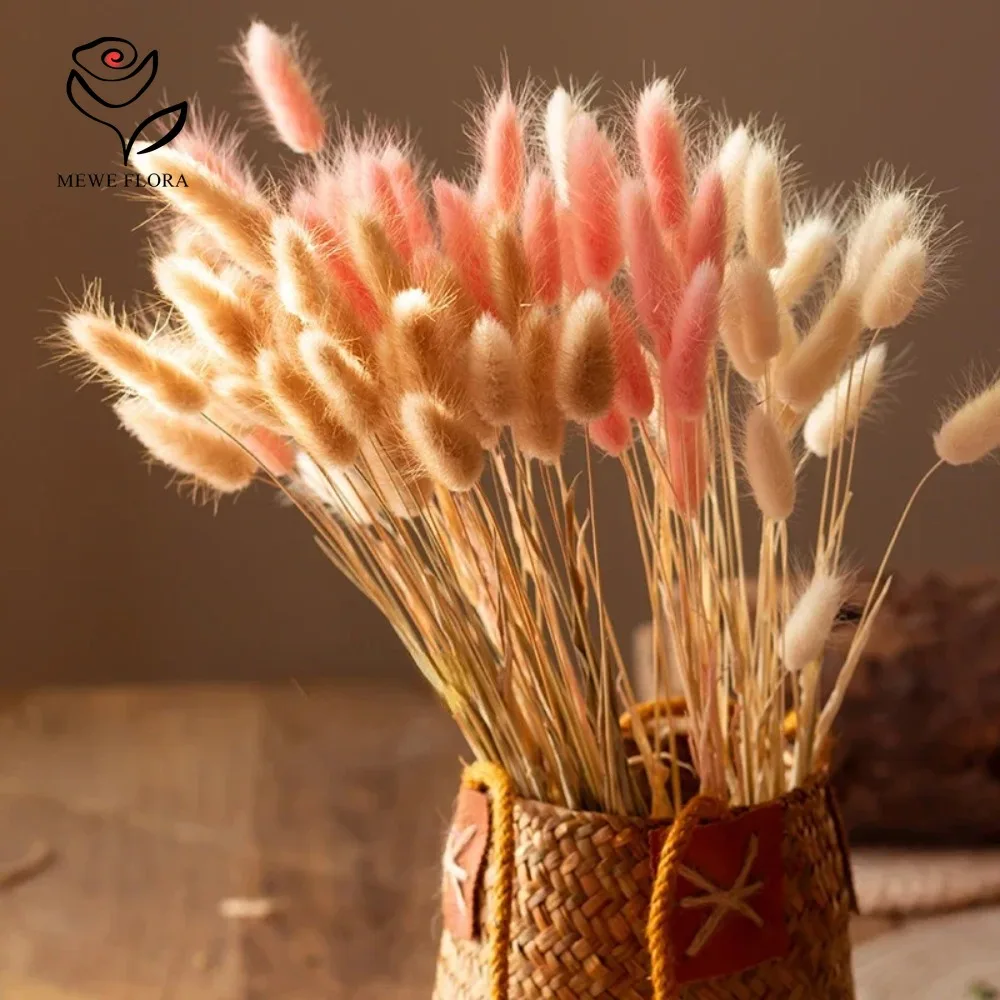 90pcs Mixed 3 Colors Bunny Tai - Dried Pampas Bundle review and price