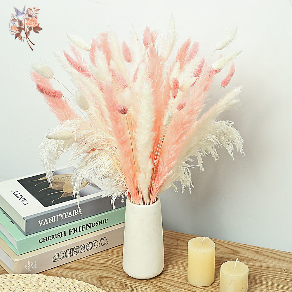 62 Pieces White Reeds Pink Rab - Dried Pampas Bundle review and price
