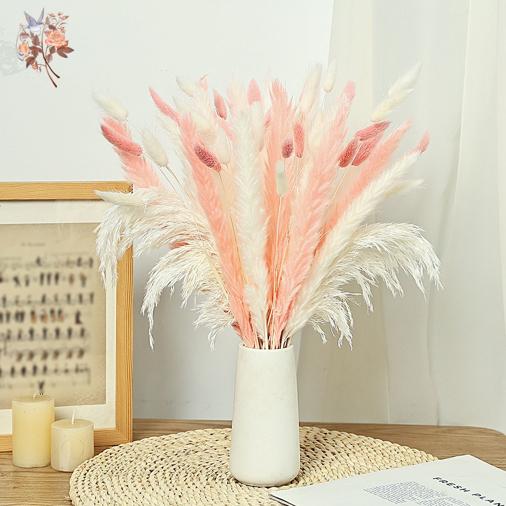 62 Pieces White Reeds Pink Rab - Dried Pampas Bundle review and price
