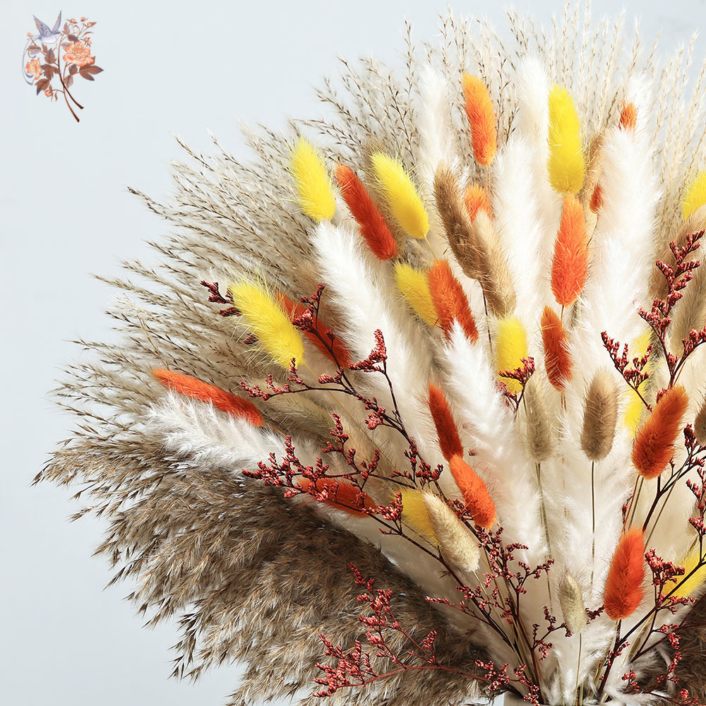 85 Pieces Natural Fluffy Autum - Dried Pampas Bundle review and price