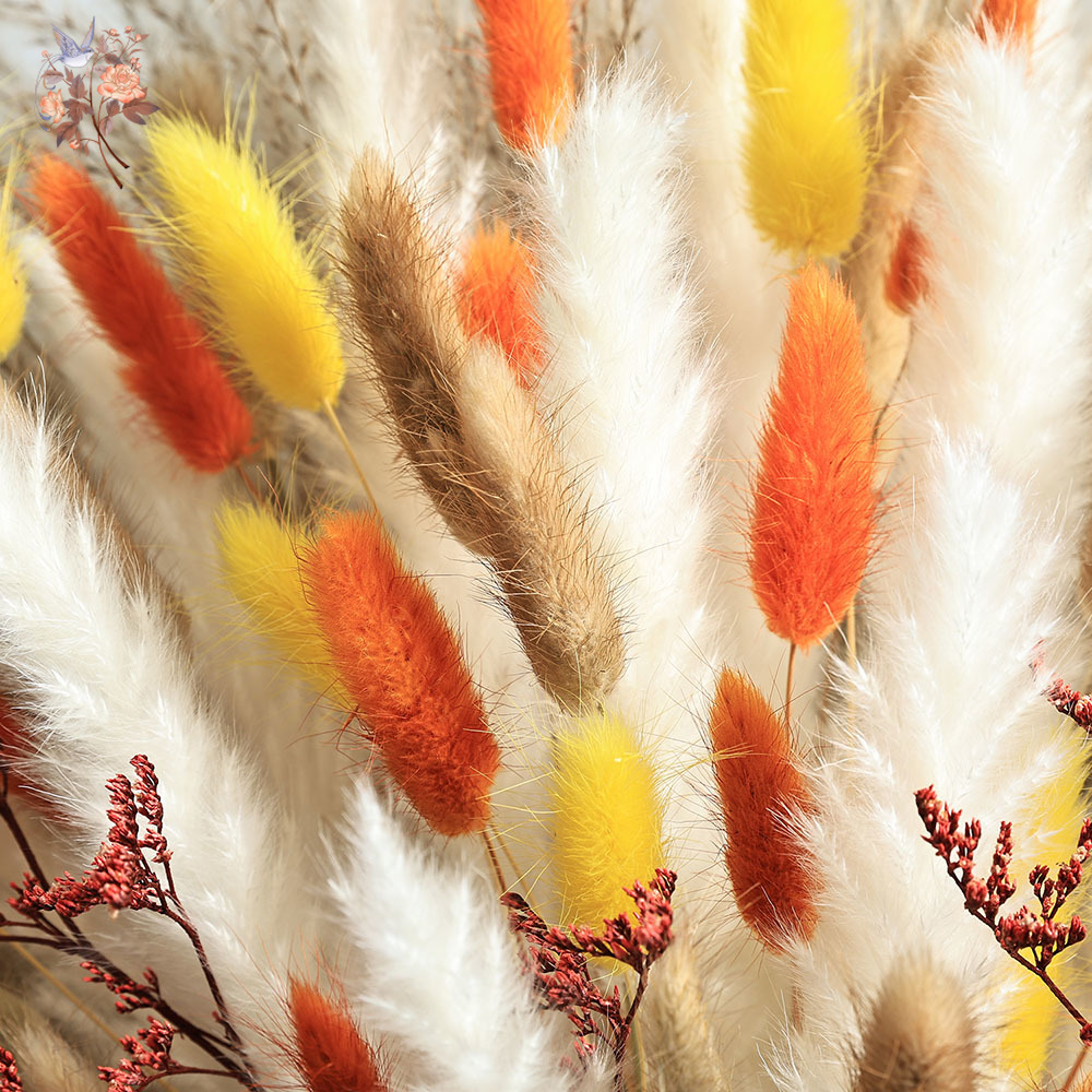 85 Pieces Natural Fluffy Autum - Dried Pampas Bundle review and price