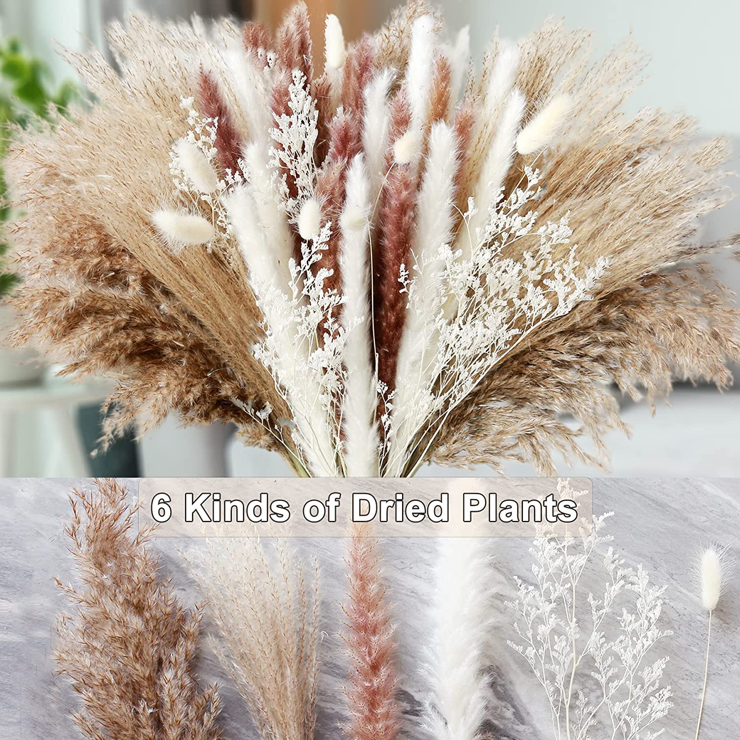 Home Table Decor Dried Plants  - Dried Pampas Bundle review and price