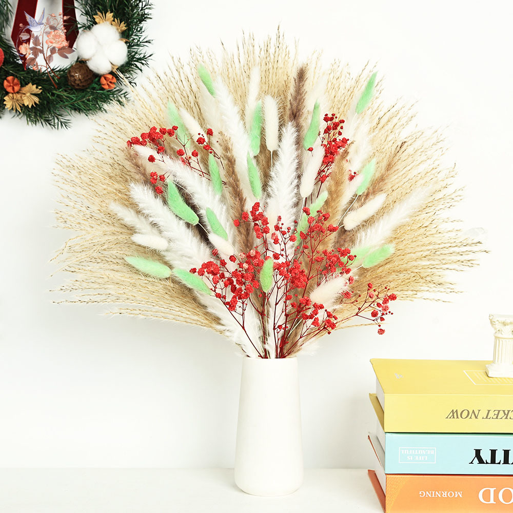 70 Stems Fluffy Green Red Pamp - Dried Pampas Bundle review and price