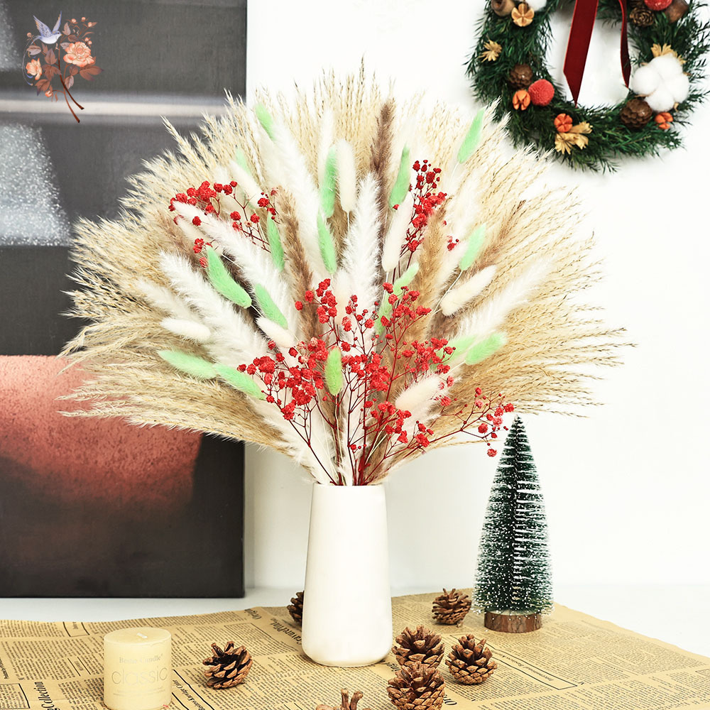 70 Stems Fluffy Green Red Pamp - Dried Pampas Bundle review and price