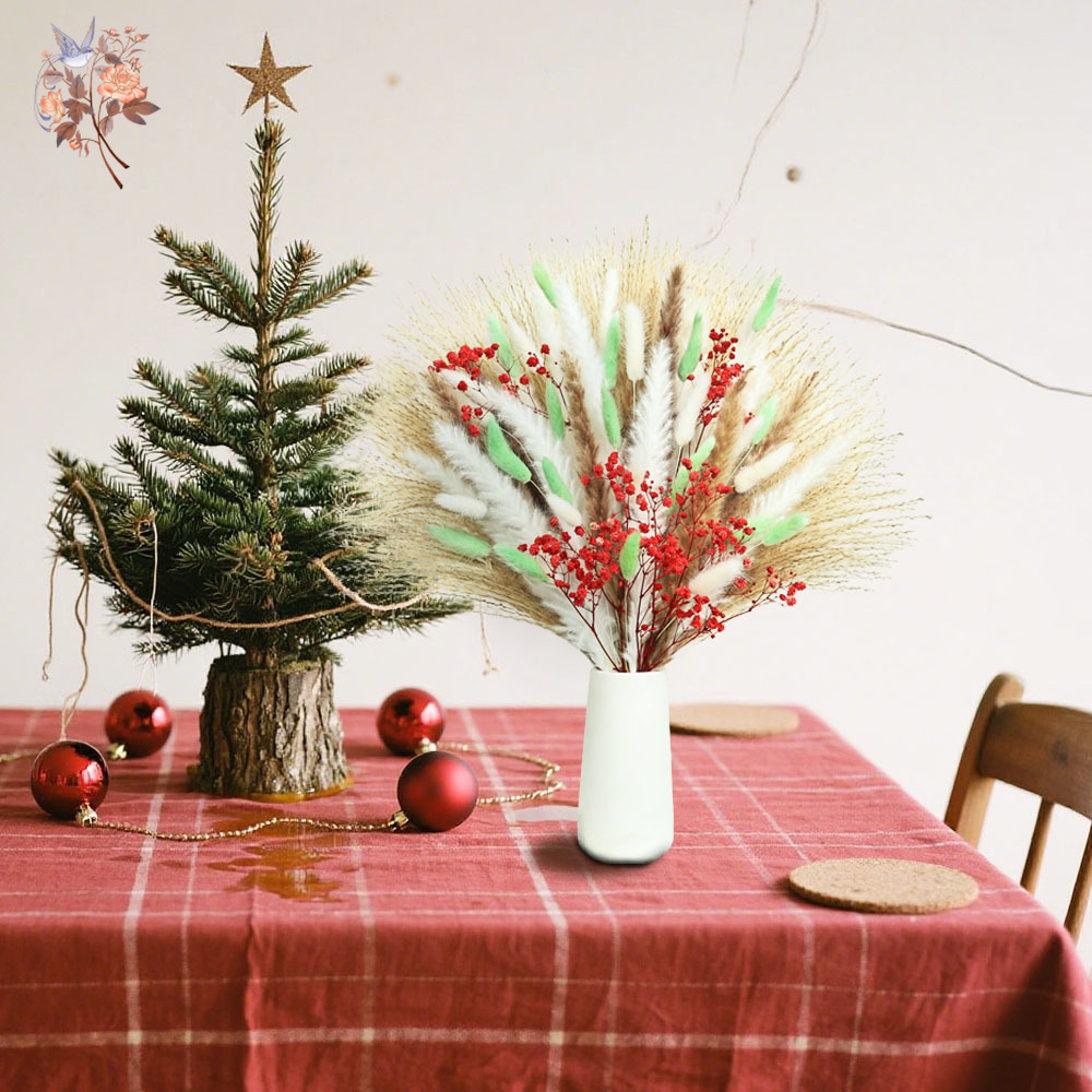 70 Stems Fluffy Green Red Pamp - Dried Pampas Bundle review and price