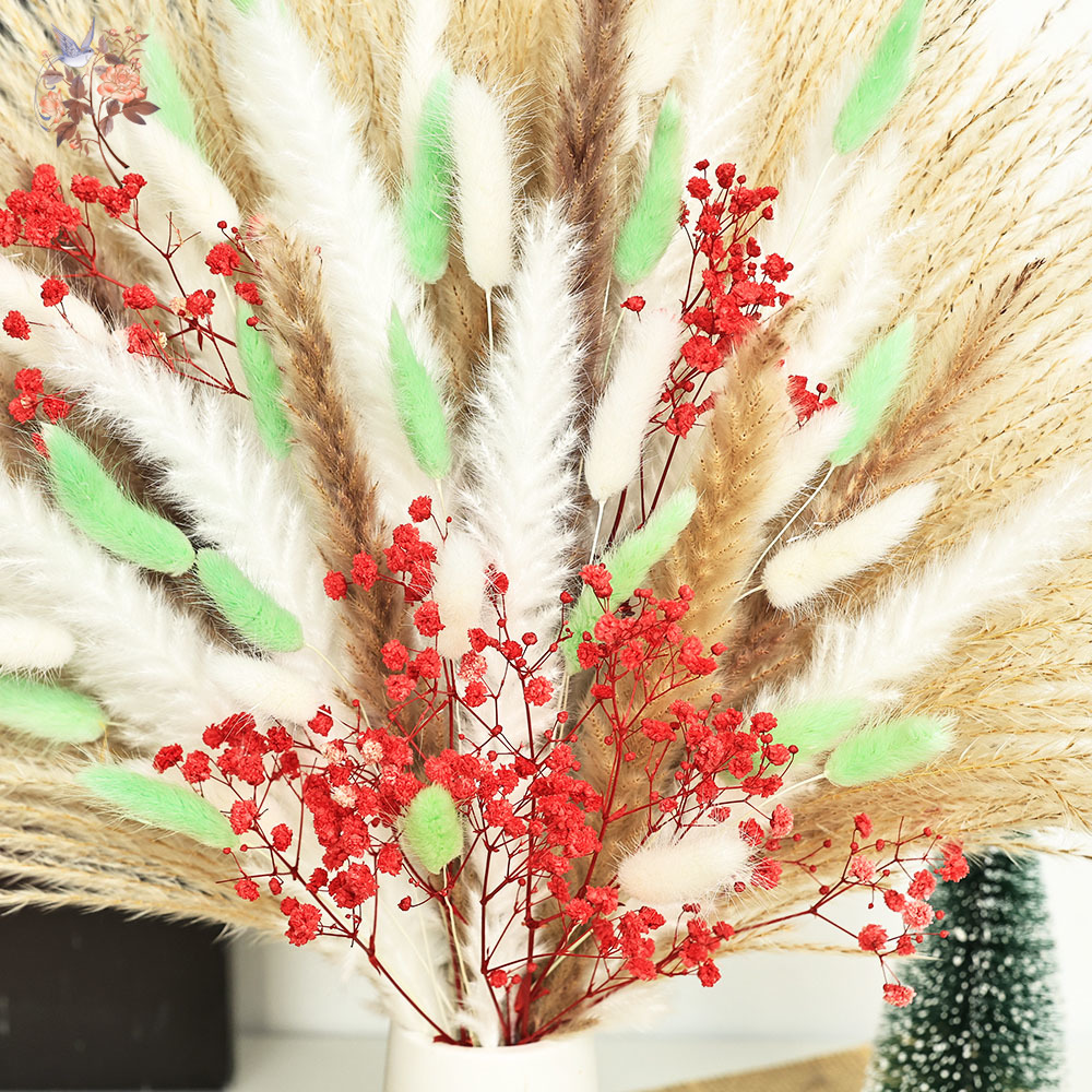 70 Stems Fluffy Green Red Pamp - Dried Pampas Bundle review and price