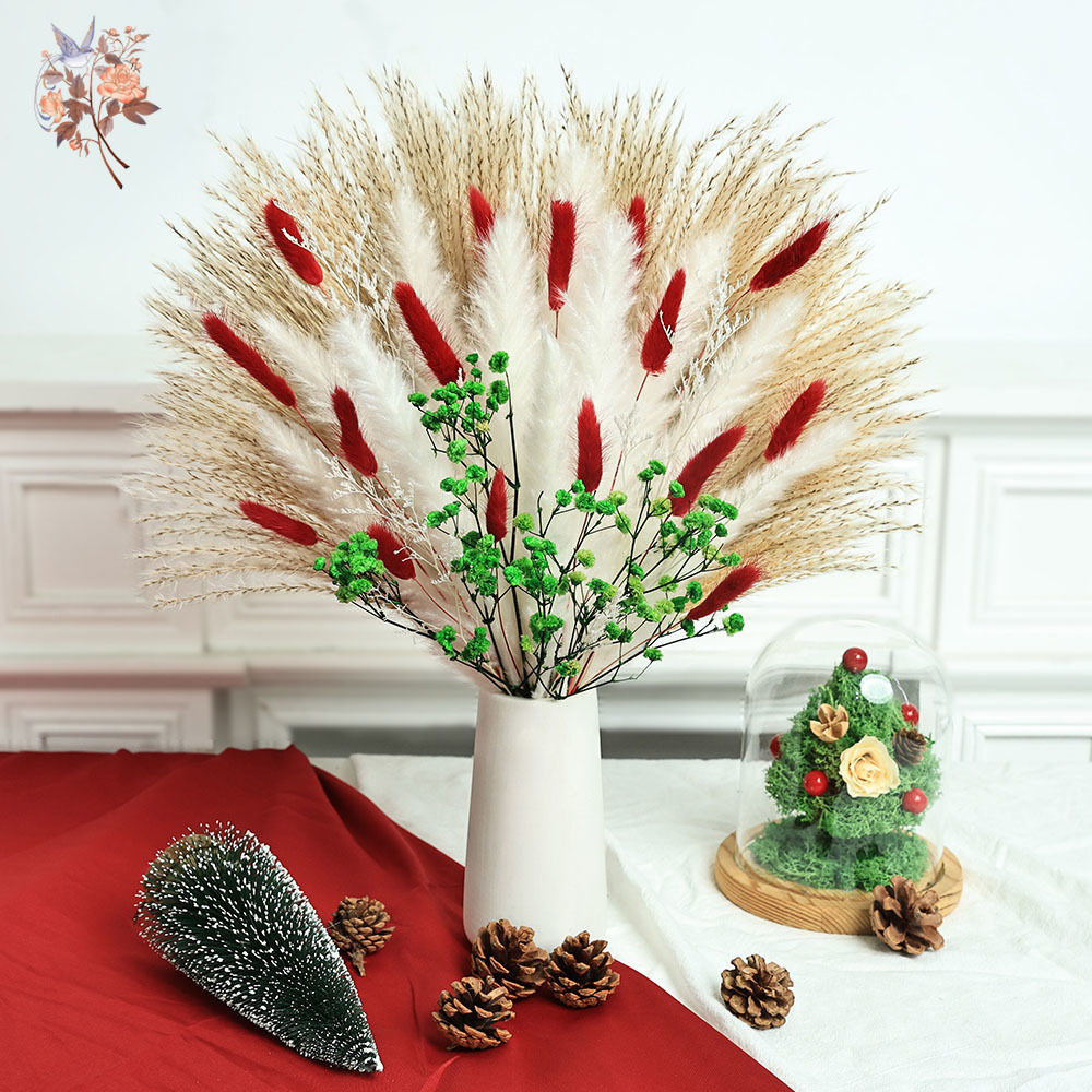 55pcs Dried Flowers Bouquet Ch - Dried Pampas Bundle review and price