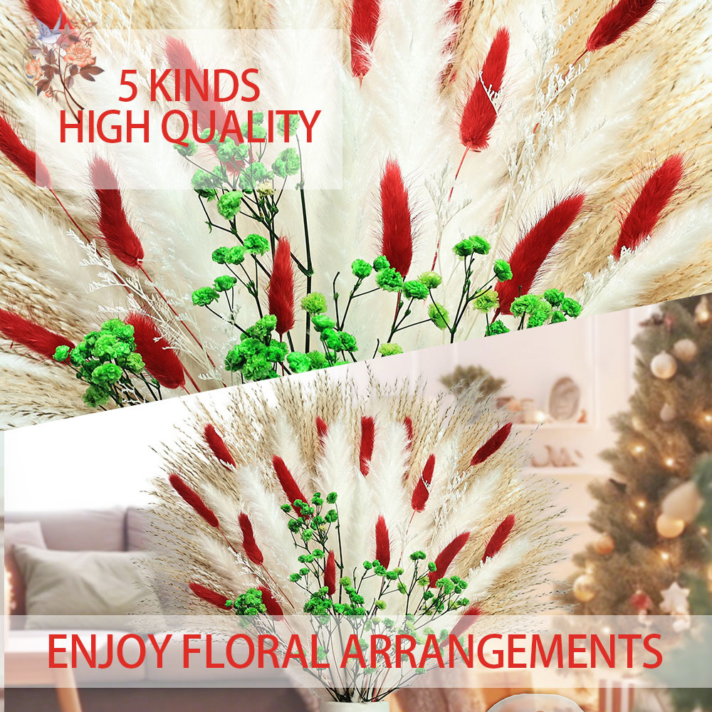 55pcs Dried Flowers Bouquet Ch - Dried Pampas Bundle review and price