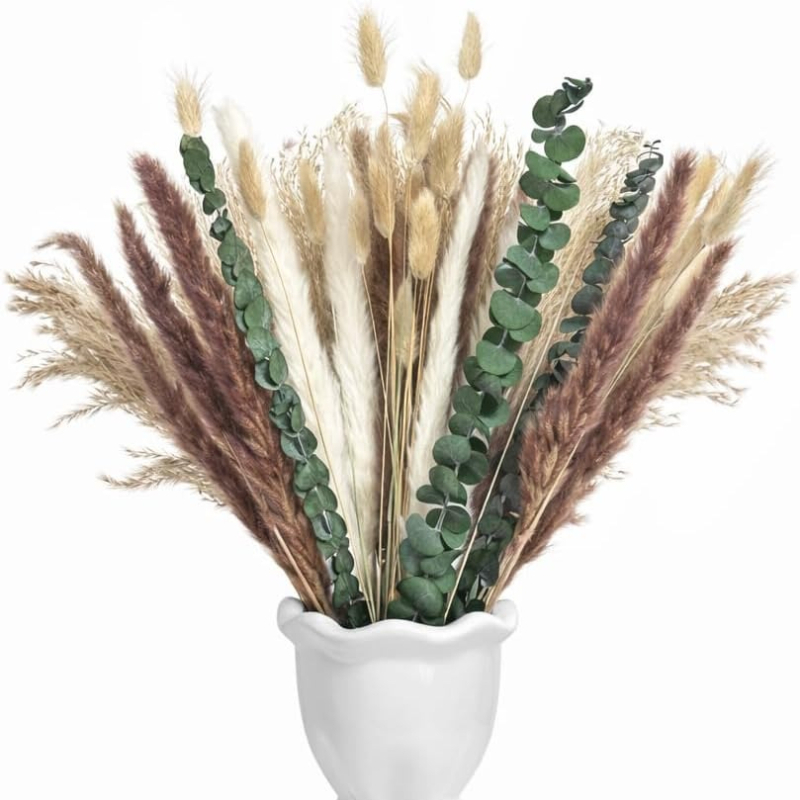 65Pcs DIY Natural Dried Flower - Dried Pampas Bundle review and price