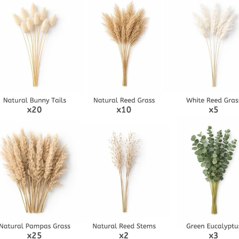 65Pcs DIY Natural Dried Flower - Dried Pampas Bundle review and price