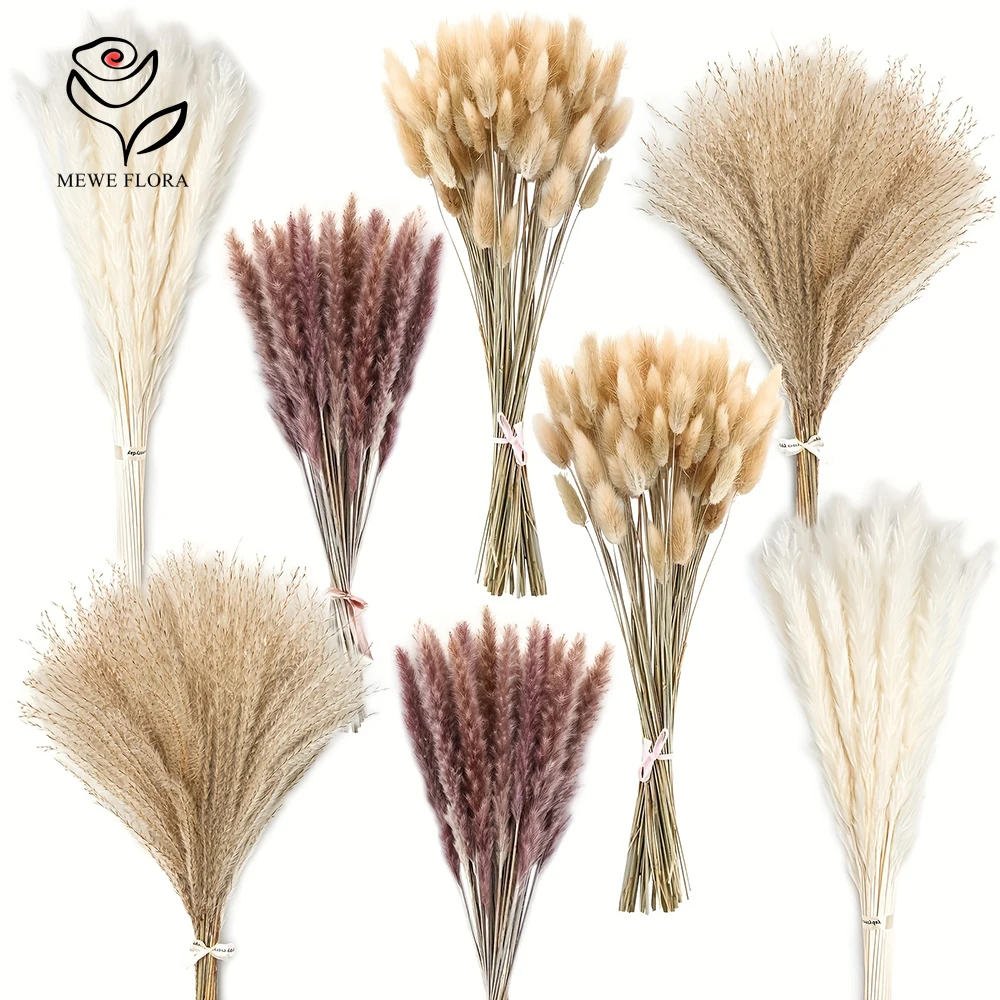 200Pcs Dried Pampas Bunny Tail - Dried Pampas Bundle review and price