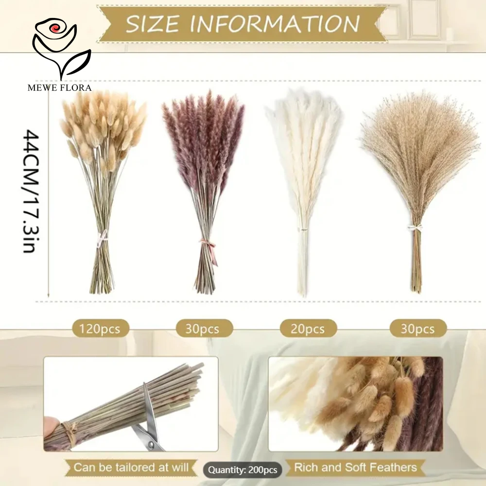 200Pcs Dried Pampas Bunny Tail - Dried Pampas Bundle review and price