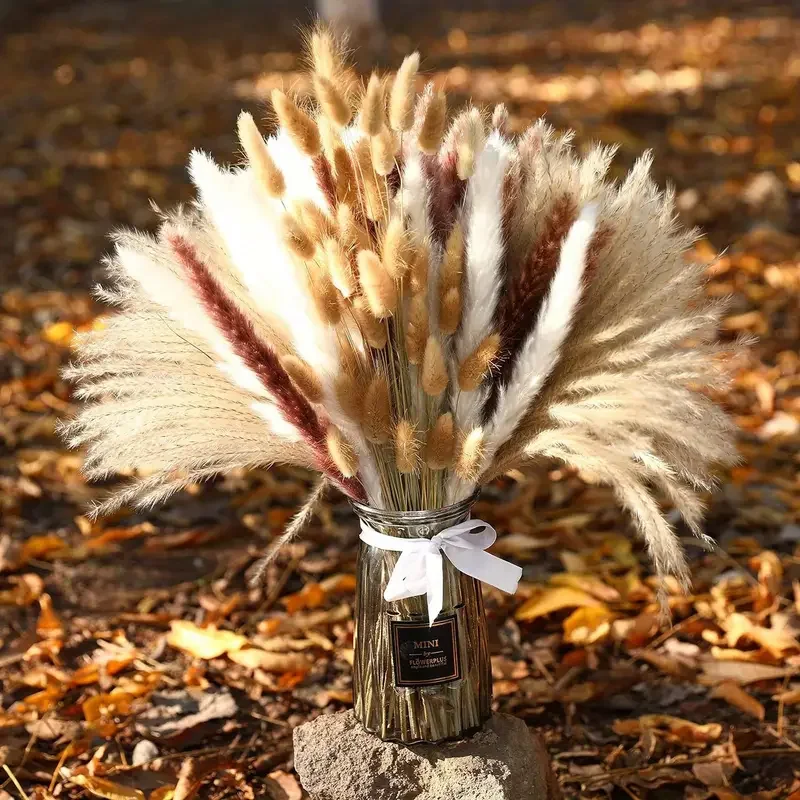 200Pcs Dried Pampas Bunny Tail - Dried Pampas Bundle review and price